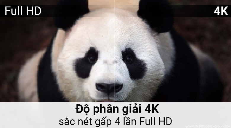 Smart Tivi QLED Samsung 4K 55 inch QA55Q7F