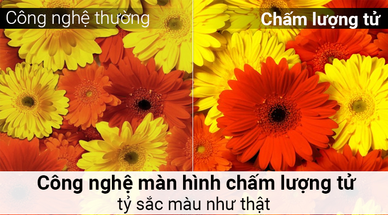 Smart Tivi QLED Samsung 4K 55 inch QA55Q7F