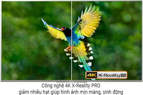Công nghệ 4K X-Reality PRO