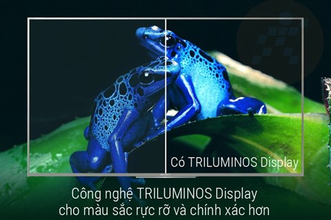 Công nghệ TRILUMINOS Display