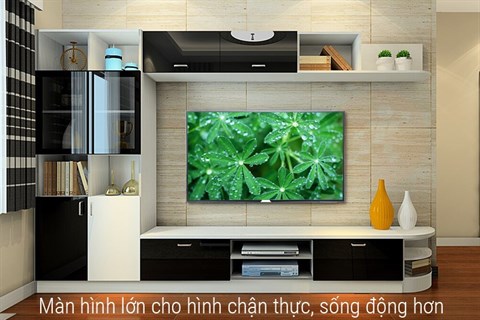 Tivi 49 inch