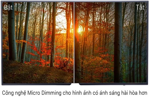 Công nghệ Micro Drimming