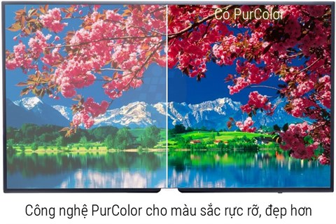 Công nghệ PurColor