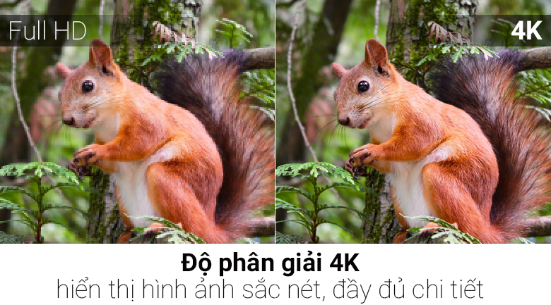 Smart Tivi Cong Samsung 4K 55 inch UA55MU8000