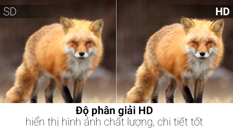 Smart Tivi Skyworth 32 inch 32S3A