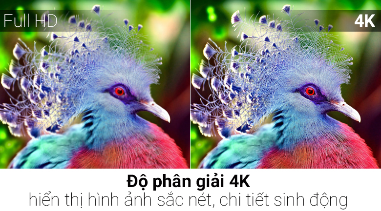 Smart Tivi OLED LG 4K 65 inch OLED65C7T