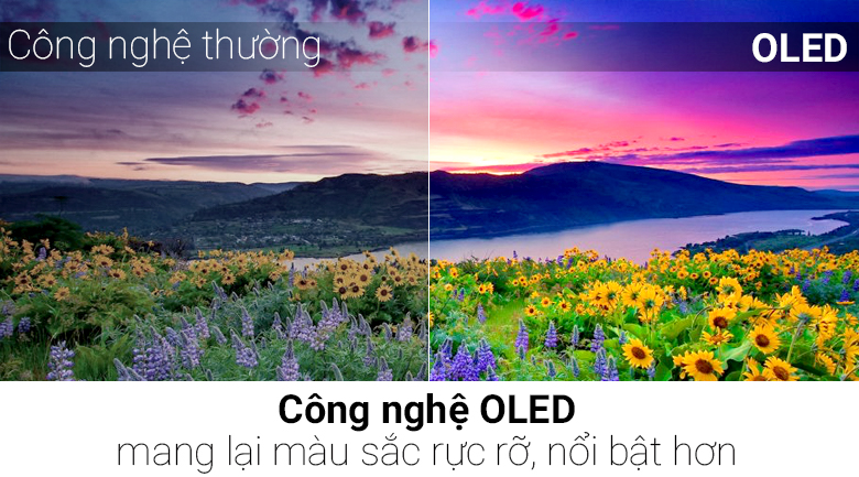 Smart Tivi OLED LG 4K 65 inch OLED65C7T