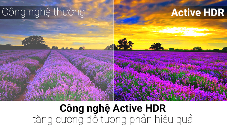 Smart Tivi OLED LG 4K 65 inch OLED65C7T