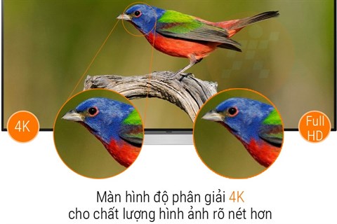 Độ phân giải 4K