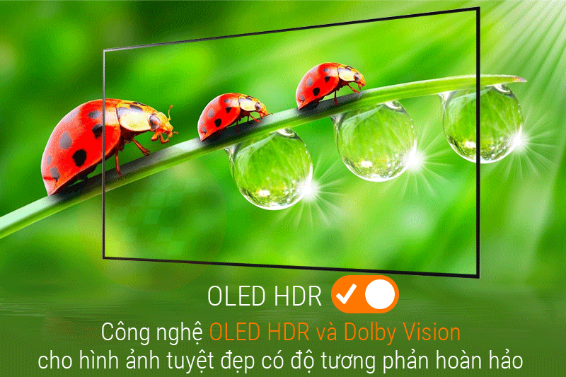 Công nghệ OLED HDR