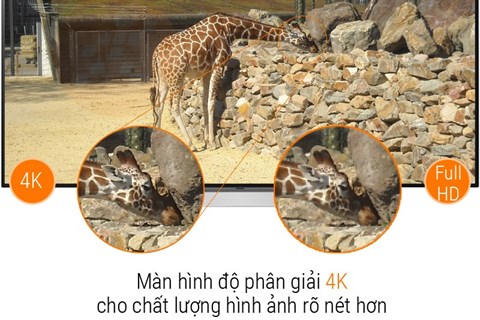 Độ phân giải 4K