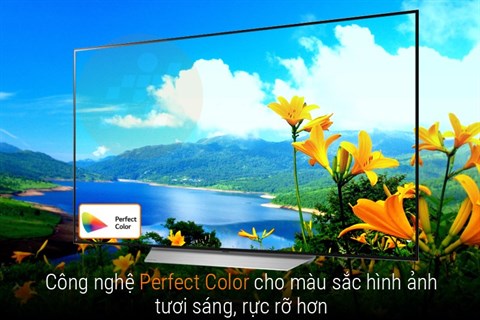 Công nghệ Perfect Color