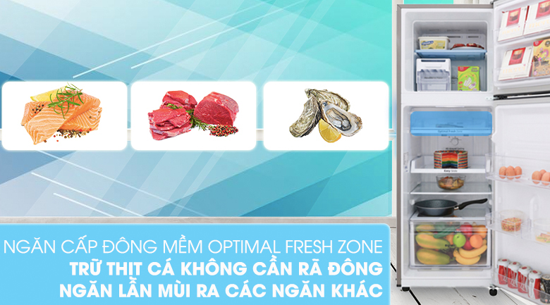 Tủ lạnh Samsung Inverter 236 lít RT22M4033S8/SV