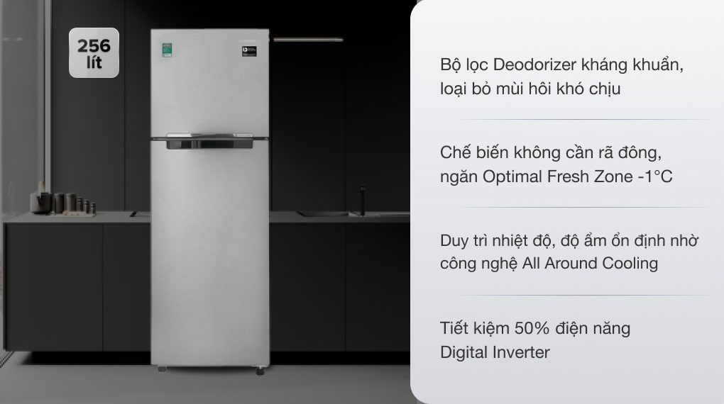 Tủ lạnh Samsung Inverter 256 lít RT25M4033S8/SV