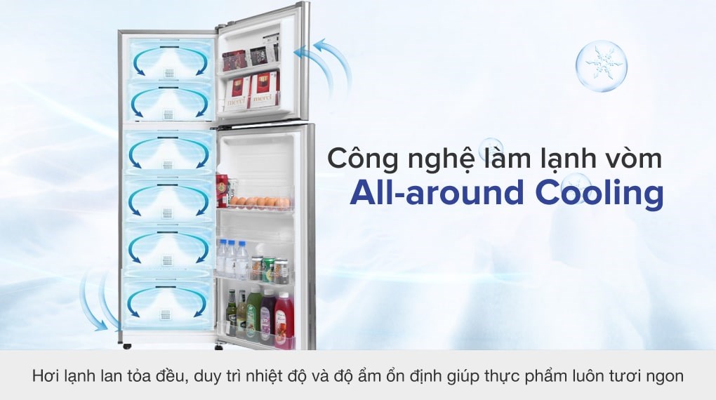Tủ lạnh Samsung Inverter 256 lít RT25M4033S8/SV