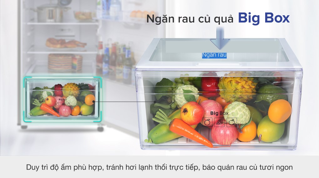 Tủ lạnh Samsung Inverter 256 lít RT25M4033S8/SV