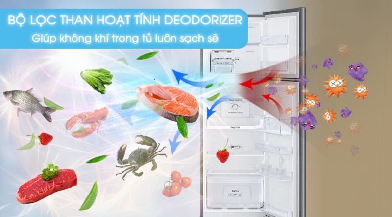 Loại bỏ vi khuẩn, mùi hôi với bộ lọc than hoạt tính Deodorizer - Tủ lạnh Samsung Inverter 256 lít RT25M4033S8/SV