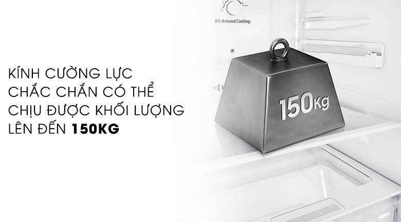 Tủ lạnh Samsung Inverter 256 lít RT25M4033UT/SV