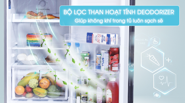 Tủ lạnh Samsung Inverter 256 lít RT25M4033UT/SV