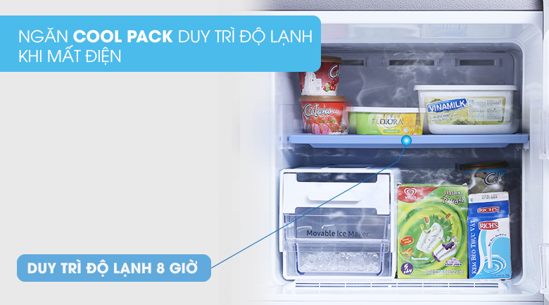 Tủ lạnh Samsung Inverter 256 lít RT25M4033UT/SV