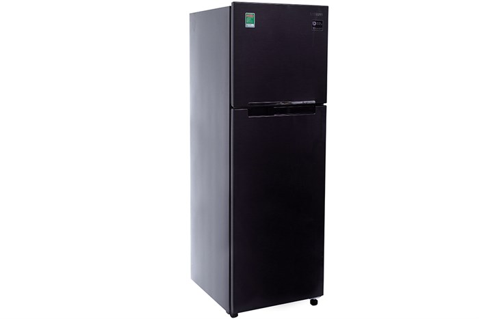 Tủ lạnh Samsung Inverter 256 lít RT25M4033UT/SV Màu Đen - Tím