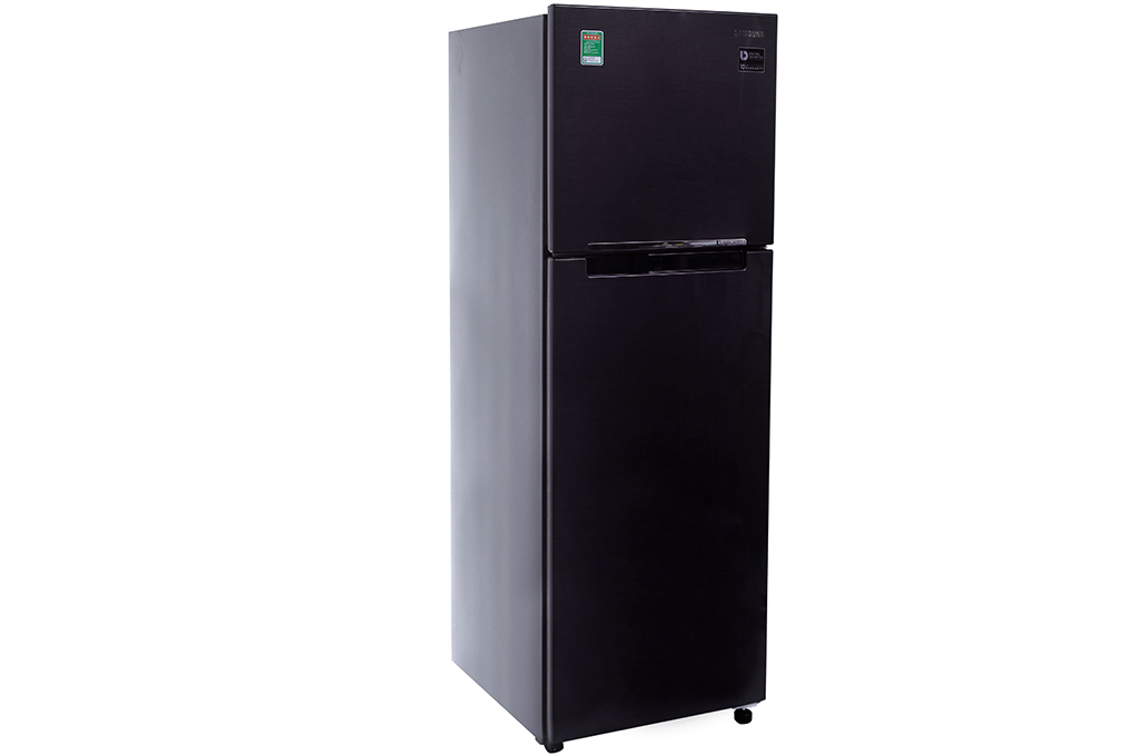 Tủ lạnh Samsung Inverter 256 lít RT25M4033UT/SV - 10