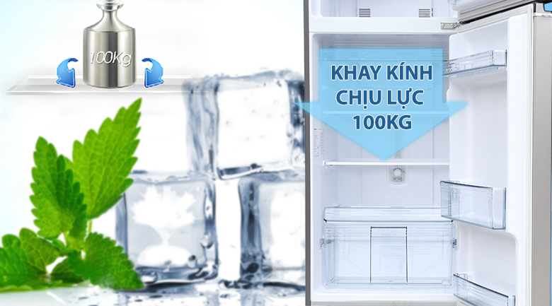 Tủ lạnh Panasonic Inverter 267 lít NR-BL308PSVN