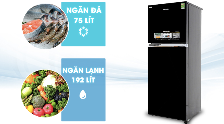 Tủ lạnh Panasonic Inverter 267 lít NR-BL308PKVN