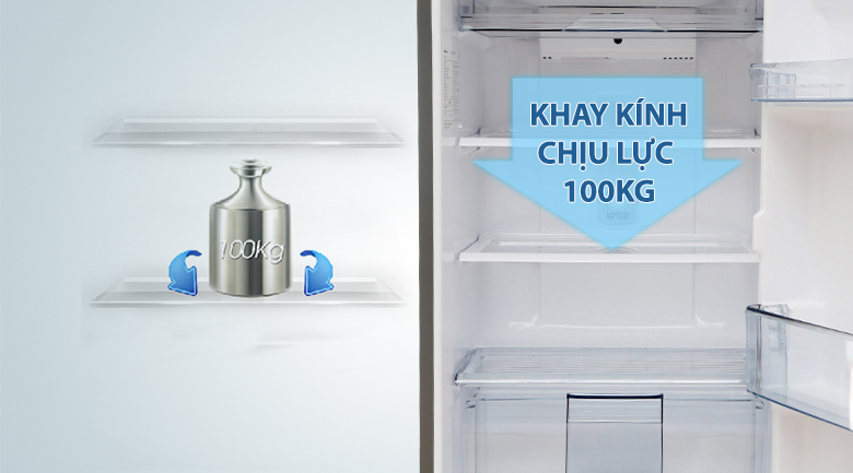 Tủ lạnh Panasonic Inverter 267 lít NR-BL308PKVN