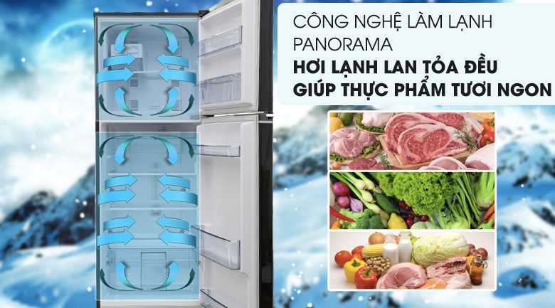 Tủ lạnh Panasonic Inverter 267 lít NR-BL308PKVN