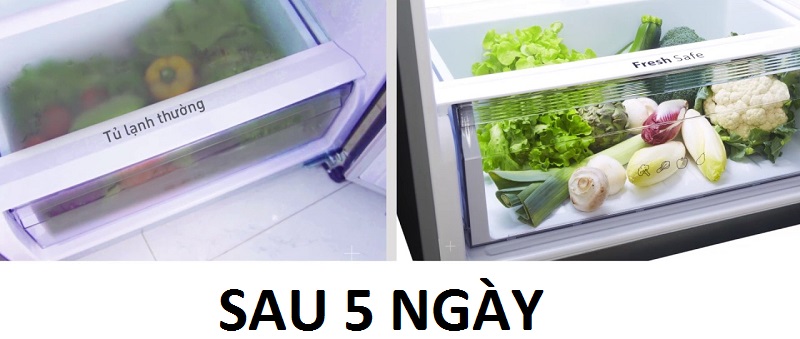 Ngăn chuyên dụng Fresh Safe giữ ẩm rau củ tối ưu