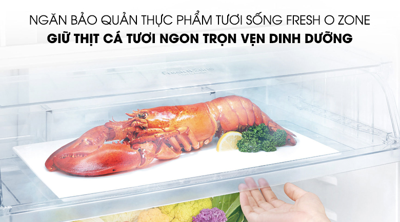 Ngăn chứa Fresh O Zone bảo quản thực phẩm tươi