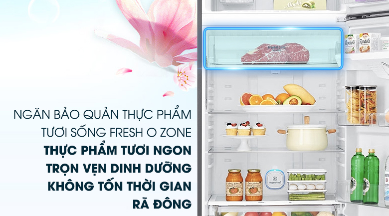 Ngăn chuyên dụng FreshZone bảo quản tốt thực phẩm tươi sống - Tủ lạnh LG Inverter 506 lít GN-L702S 
