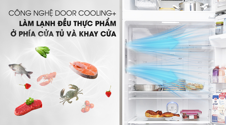 Làm lạnh nhanh và đều với công nghệ DoorCooling + TM - Tủ lạnh LG Inverter 475 lít GN-L602S