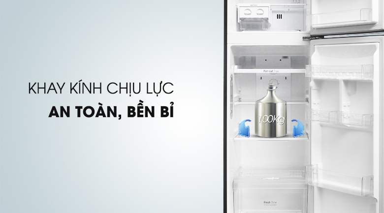 Tủ lạnh LG Inverter 255 lít GN-L255PN