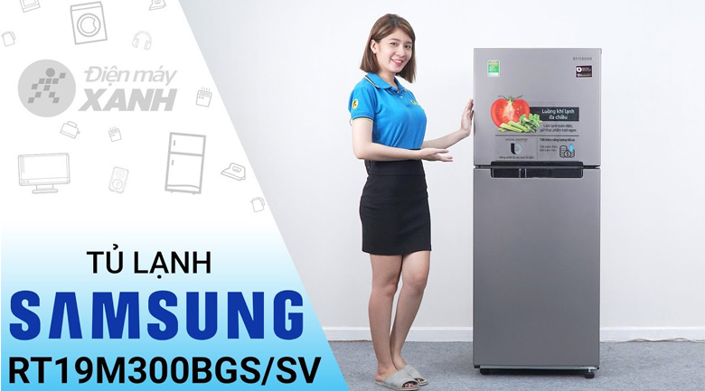 Tủ lạnh Samsung Inverter 208 lít RT19M300BGS/SV