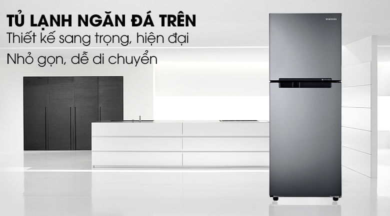 Tủ lạnh Samsung RT19M300BGS / SV