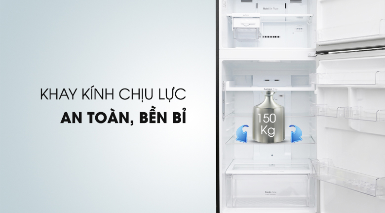Tủ lạnh LG Inverter 393 lít GN-L422GB - 22