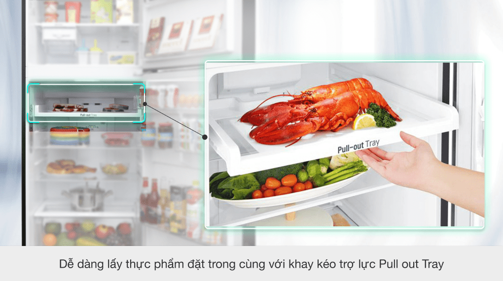 Tủ lạnh LG Inverter 393 lít GN-L422GB - 16