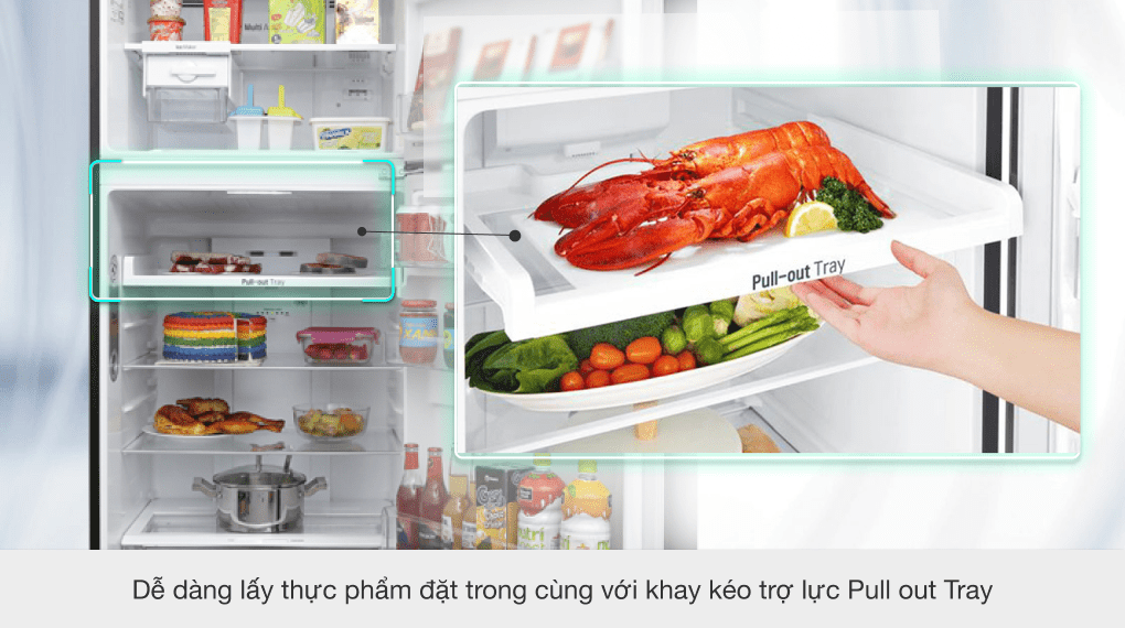 Tủ lạnh LG Inverter 393 lít GN-L422GB