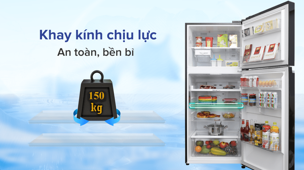 Tủ lạnh LG Inverter 393 lít GN-L422GB - 19