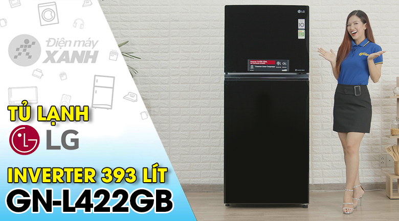 Tủ lạnh LG Inverter 393 lít GN-L422GB