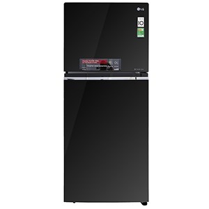 Tủ lạnh LG Inverter 393 lít GN-L422GB - Tủ lạnh