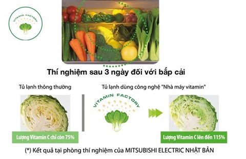 Ngăn bảo quản rau quả chuyên biệt - Tủ lạnh Mitsubishi Electric 506 lít MR-WX53Y-BR-V
