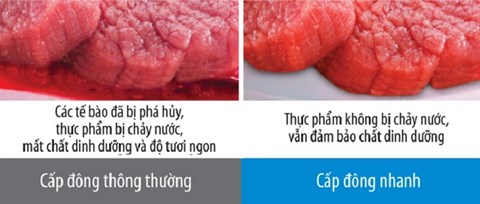 Làm đông nhanh chóng, bảo đảm chất dinh dưỡng cho thực phẩm - Tủ lạnh Sharp 601 lít SJ-GF60A-R