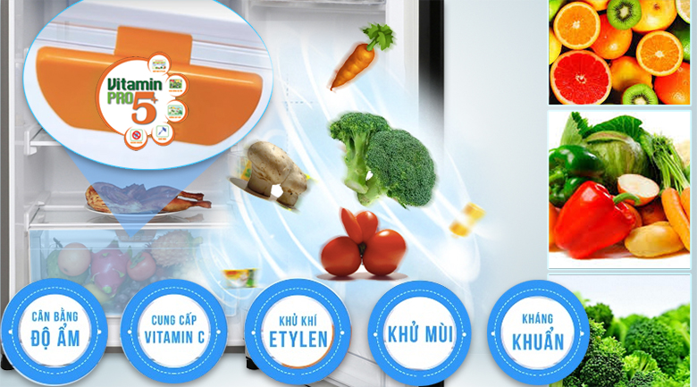 Tủ lạnh Aqua Inverter 267 lít AQR-I287BN PS