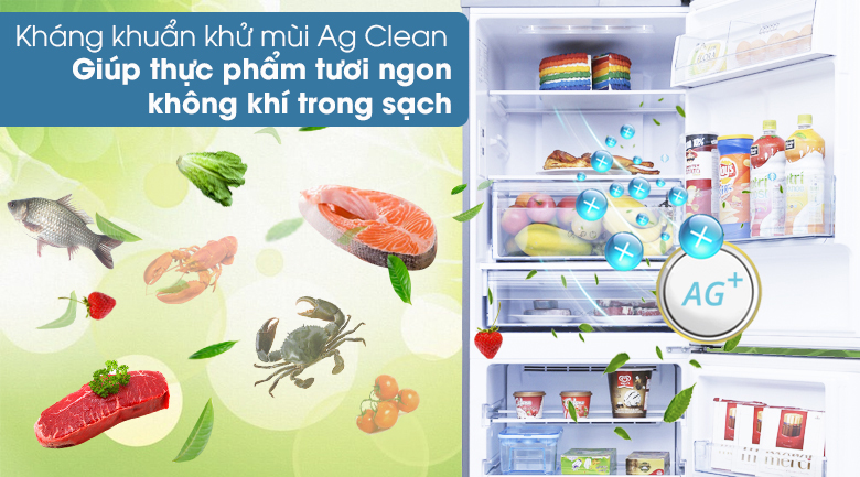 Tủ lạnh Panasonic Inverter 255 lít NR-BV289QSVN