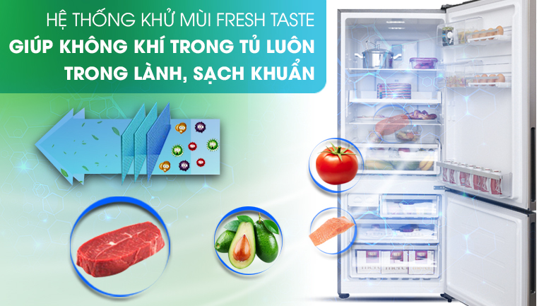 Hệ thống khử mùi Fresh Taste - Tủ lạnh Electrolux Inverter 418 lít EBE4502GA