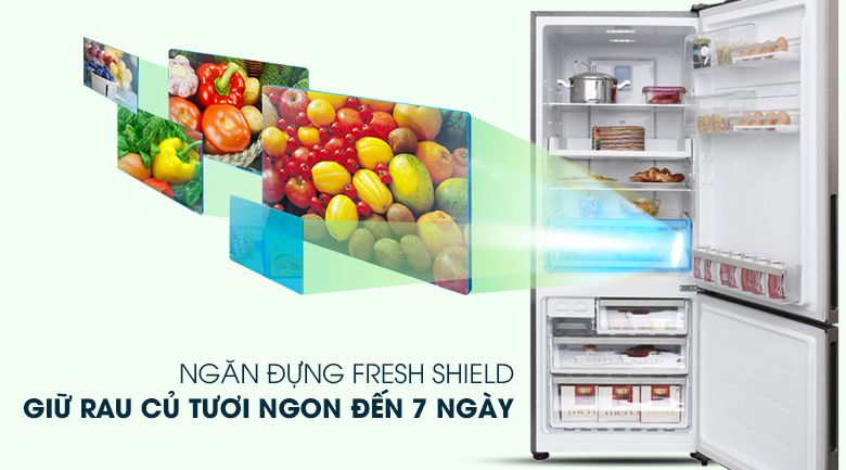 Ngăn đựng rau củ Fresh Shield - Tủ lạnh Electrolux Inverter 418 lít EBE4502GA