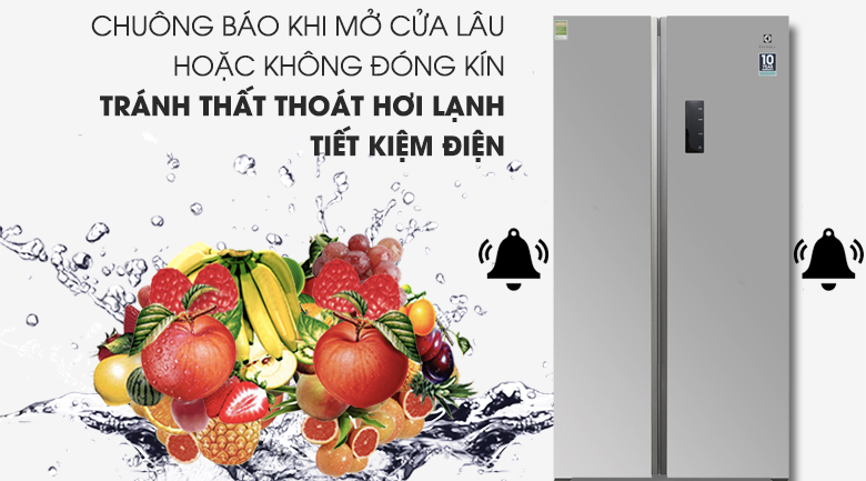 Tủ lạnh Electrolux Inverter 492 lít ESE5301AG-VN